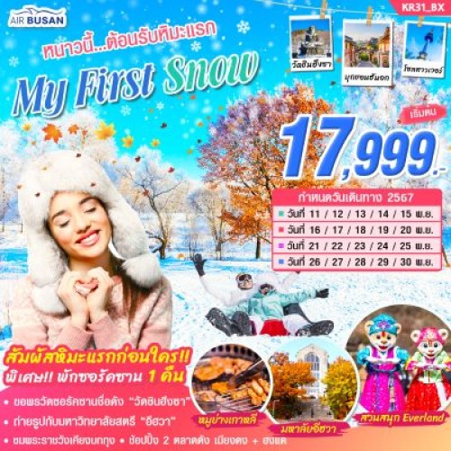 KR31 ทัวร์เกาหลี โซล (MY FIRST SNOW) [NOV] 5วัน 3คืน บิน AIR BUSAN