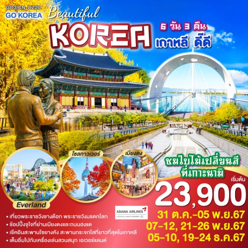 GO3ICN-OZ020 ทัวร์เกาหลี โซล อินชอน สวนสนุกเอเวอร์แลนด์ ใบไม้เปลี่ยนสี [OCT-DEC] 6วัน 3คืน บิน ASIANA AIRLINES