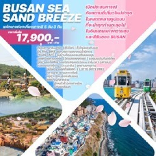 BSSB_2024 ทัวร์เกาหลี ปูซาน อุทยานยงดูซาน วัดแฮดงยงกุงซา หอคอยแห่งปูซาน (BUSAN SEA SAND BREEZE) [JUL-DEC] 5วัน 3คืน บิน AIR BUSAN