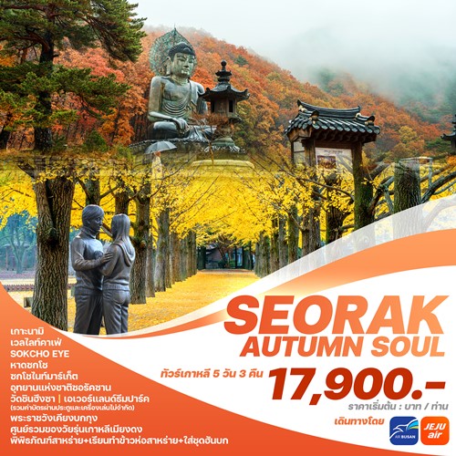 SAS2024 ทัวร์เกาหลี โซล เกาะนามิ สวนสนุกEVERLAND เมียงดง (SEORAK AUTUMN SOUL) [SEP-NOV] 5วัน 3คืน บิน JEJU AIR