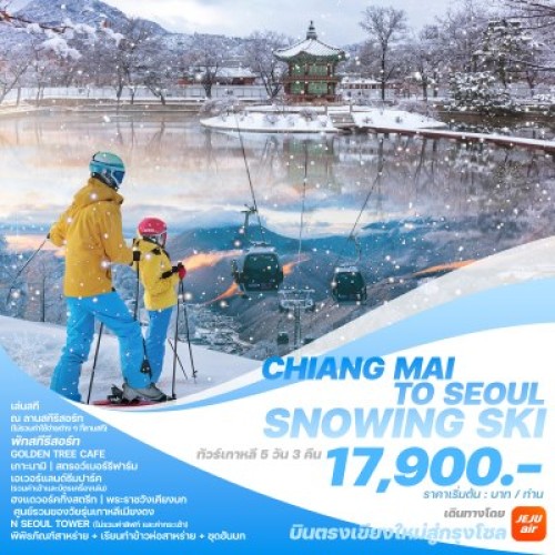 CMSSSR2024 ทัวร์เกาหลี โซล เกาะนามิ (CHIANG MAI TO SEOUL SNOWING SKI) [NOV24-MAR25] 5วัน 3คืน บิน JEJU AIR (บินตรงเชียงใหม่)