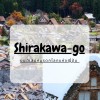 ข้อมูลเที่ยวญี่ปุ่น : หมู่บ้านชิราคาวาโกะ (Shirakawa-go)  มนต์เสน่ห์มรดกโลกแห่งญี่ปุ่น