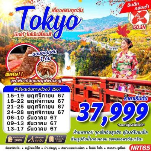 NRT65 ทัวร์ญี่ปุ่น โตเกียว นิกโก้ (TOKYO นิกโก้ ใบไม้เปลี่ยนสี) [NOV-DEC] 5วัน 3คืน บิน AIR ASIA X