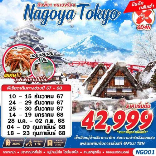 NGO01 ทัวร์ญี่ปุ่น นาโกย่า โตเกียว (NAGOYA TOKYO WINTER ลิงจั๊กๆหนาวจริงๆ) [DEC24-FEB25] 6วัน 4คืน บิน AIR ASIA X