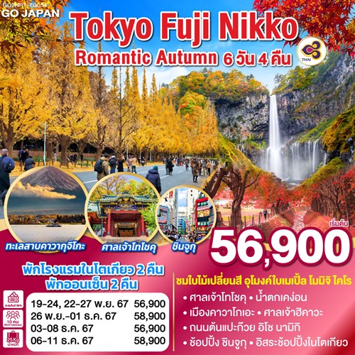 GO2NRT-TG054 ทัวร์ญี่ปุ่น โตเกียว นิกโก้ โมมิจิ ไคโร อุโมงค์ใบเมเปิ้ล อิสระเต็มวัน [NOV-DEC] 6วัน 4คืน บิน THAI AIRWAYS