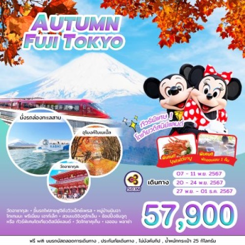 ทัวร์ญี่ปุ่น โตเกียว อุโมงค์ใบเมเปิ้ล ออนเซ็น (AUTUMN FUJI TOKYO) [NOV] 5วัน 3คืน บิน THAI AIRWAYS