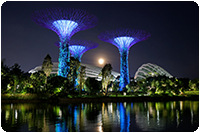 จัดทัวร์สิงคโปร์ : GARDEN BY THE BAY