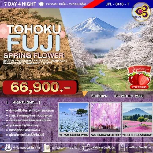 JPL-0416-T ทัวร์ญี่ปุ่น โตเกียว ฟุกุชิมะ (TOHOKU FUJI SPRING FLOWER) [APR] 7วัน 4คืน บิน TG