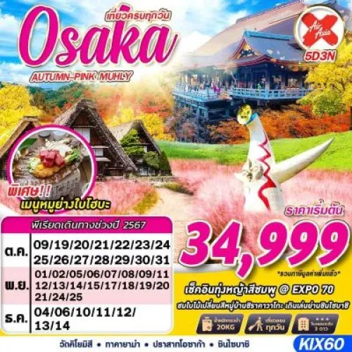 KIX60 ทัวร์ญี่ปุ่น โอซาก้า ทาคายาม่า (OSAKA AUTUMN-PINK MUHLY) [OCT-DEC] 5วัน 3คืน บิน AIR ASIA X