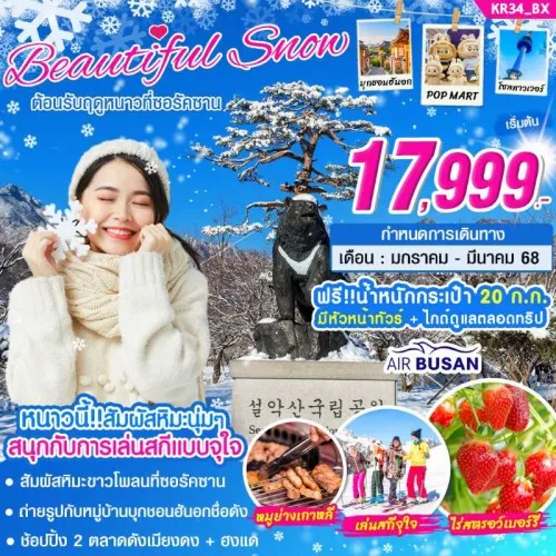 KR34 ทัวร์เกาหลี โซล (BEAUTIFUL SNOW) [JAN-MAR] 5วัน 3คืน บิน AIR BUSAN