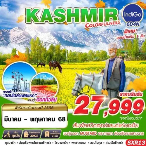 SXR13 ทัวร์อินเดีย แคชเมียร์ ศรีนาคา (KASHMIR COLORFULNES) [MAR-MAY] บิน 6E