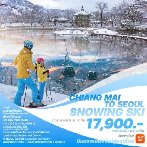 CMSSSR2024 ทัวร์เกาหลี โซล เกาะนามิ (CHIANG MAI TO SEOUL SNOWING SKI) [NOV24-MAR25] 5วัน 3คืน บิน JEJU AIR (บินตรงเชียงใหม่)