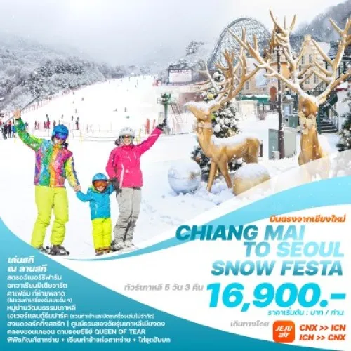 CNXSF2024 ทัวร์เกาหลี โซล (CHIANG MAI TO SEOUL SNOW FESTA) [NOV24-MAR25] 5วัน 3คืน บิน JEJU AIR (บินตรงเชียงใหม่)