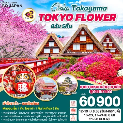 GO2KIX-TG059 ทัวร์ญี่ปุ่น โอซาก้า ทาคายาม่า โตเกียว OSAKA TAKAYAMA TOKYO FLOWER ชมดอกอาซาเลียสุดตระการตา [APR] 8วัน 5คืน บิน THAI AIRWAYS