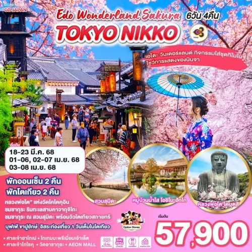 GO2NRT-TG068 ทัวร์ญี่ปุ่น โตเกียว TOKYO NIKKO EDO WONDERLAND SAKURA [MAR-APR] 6วัน 4คืน บิน THAI AIRWAYS